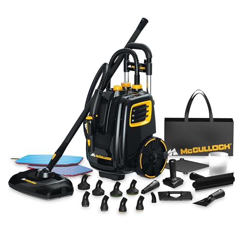 Commercial Kitchen Steam Cleaner